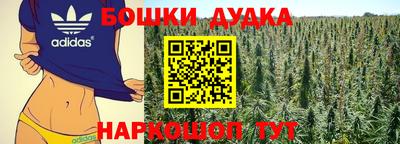 амф Камышлов