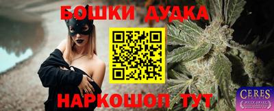 амф Камышлов