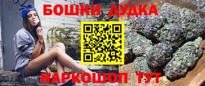 амф Камышлов