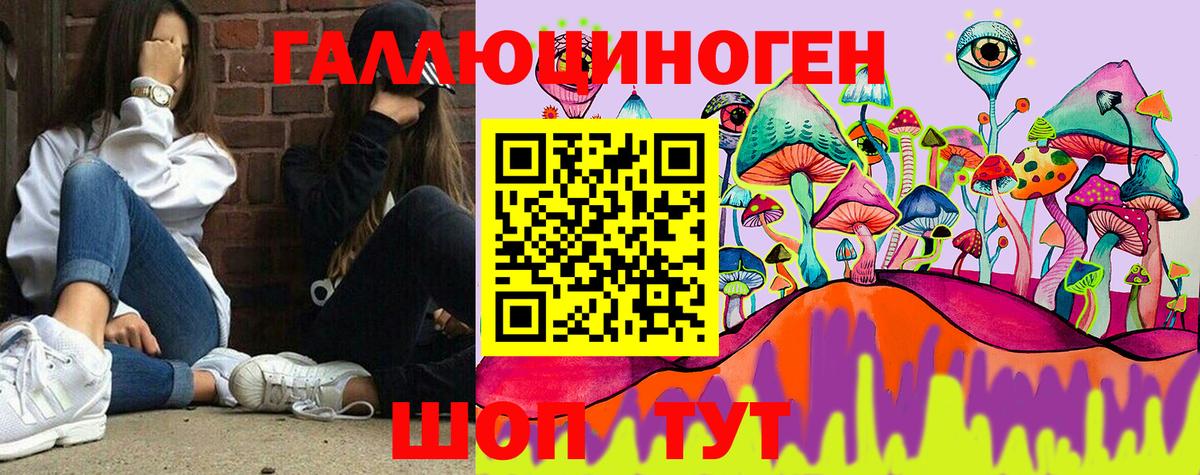 Галлюциногенные грибы Cubensis Нарткала