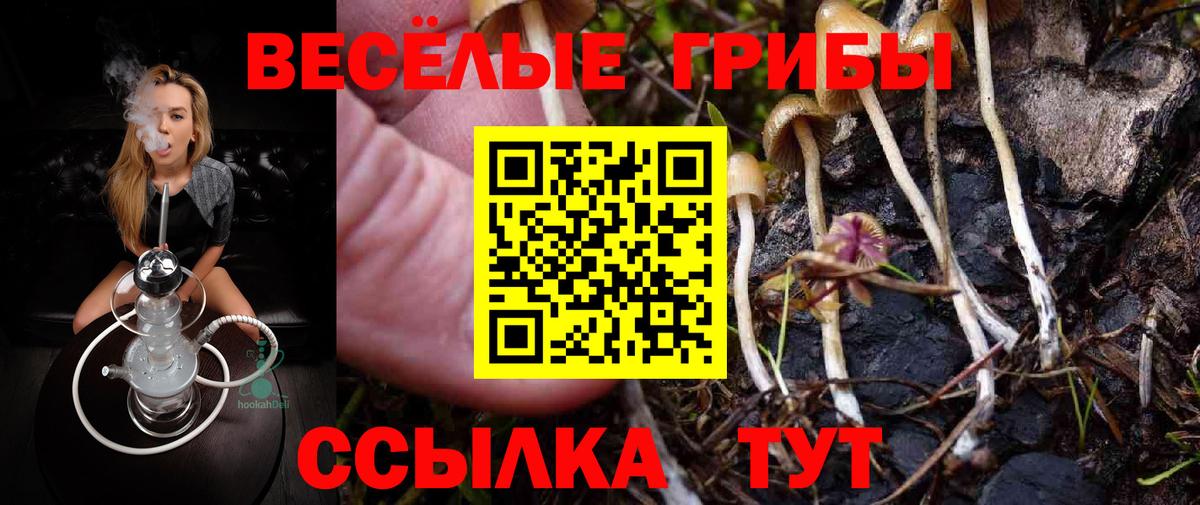Псилоцибиновые грибы мицелий  Галлюциногенные грибы Psilocybine cubensis  Нарткала  Вход с VPN 