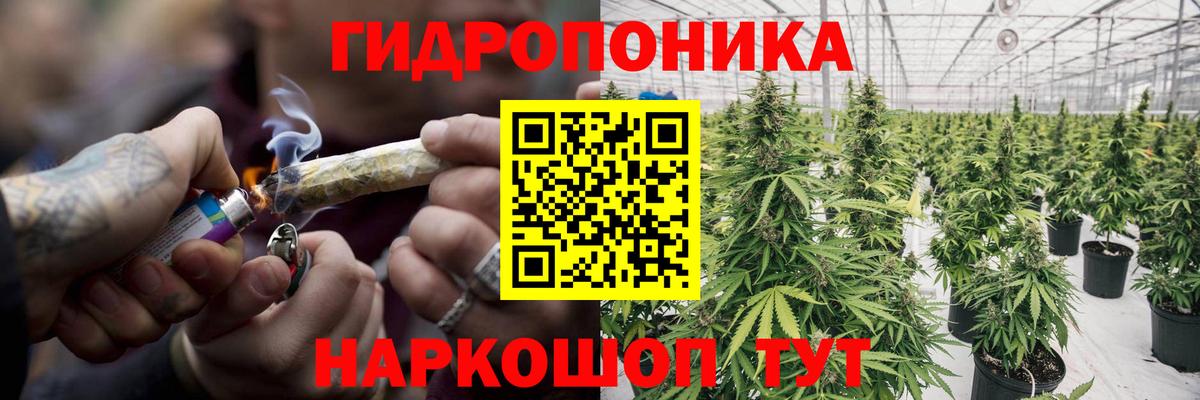 Шишки марихуана семена  Шишки марихуана планчик  Бошки марихуана SATIVA & INDICA  Канабис MAZAR  Нарткала  Вход с VPN 